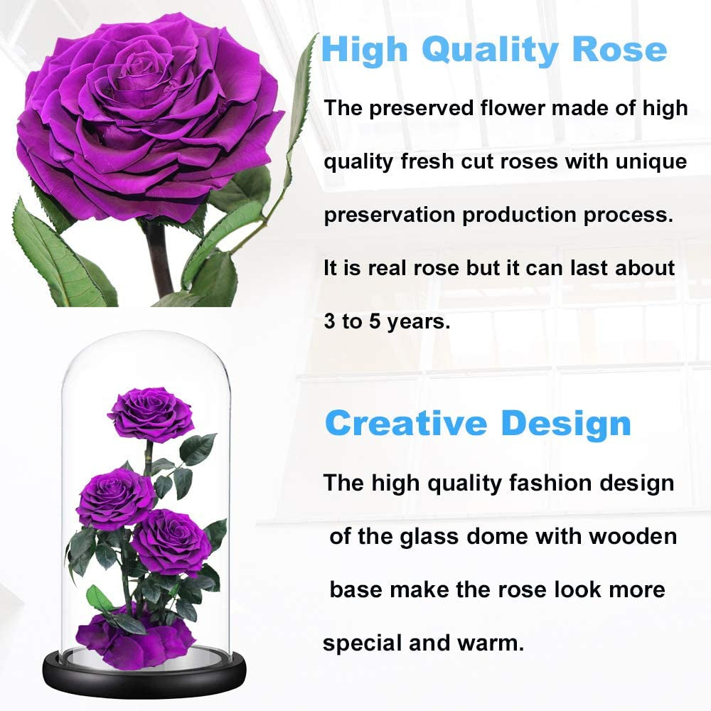 Purple Roses Handmade Preserved Real Rose in Glass Dome, Long Lasting Roses Never Withered Gifts for Her, Valentine'S Day, Mother'S Day, Birthday, Christmas, Anniversary(13 Inch)