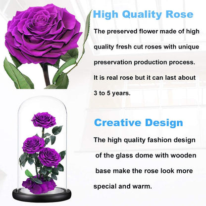 Purple Roses Handmade Preserved Real Rose in Glass Dome, Long Lasting Roses Never Withered Gifts for Her, Valentine'S Day, Mother'S Day, Birthday, Christmas, Anniversary(13 Inch)