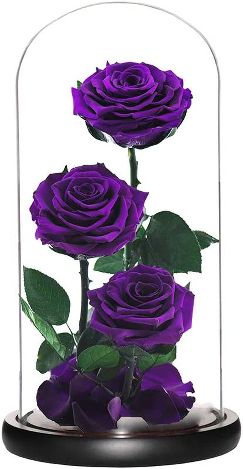 Purple Roses Handmade Preserved Real Rose in Glass Dome, Long Lasting Roses Never Withered Gifts for Her, Valentine'S Day, Mother'S Day, Birthday, Christmas, Anniversary(13 Inch)