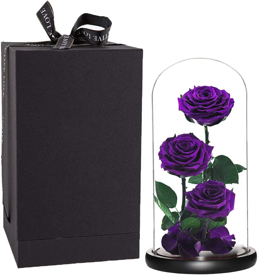 Purple Roses Handmade Preserved Real Rose in Glass Dome, Long Lasting Roses Never Withered Gifts for Her, Valentine'S Day, Mother'S Day, Birthday, Christmas, Anniversary(13 Inch)